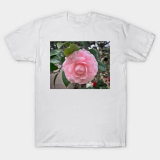 Camellia Soft Pink Bloom T-Shirt